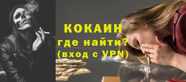 крисы Мегион