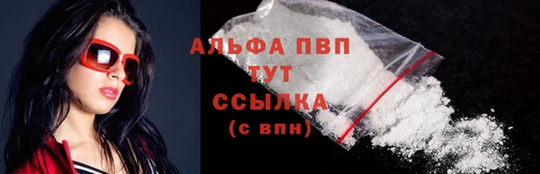 шишки Магас