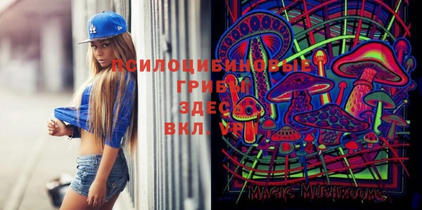 крисы Мегион