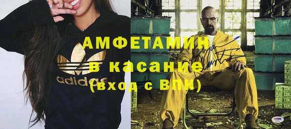 крисы Мегион