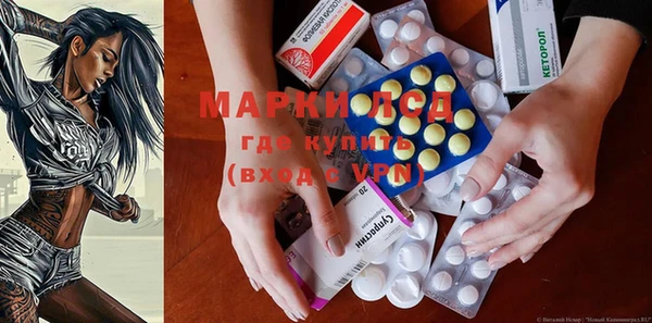 крисы Мегион
