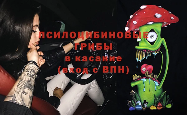 соль ск Медногорск