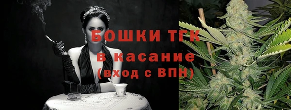 соль ск Медногорск