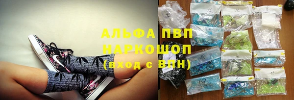 шишки Магас