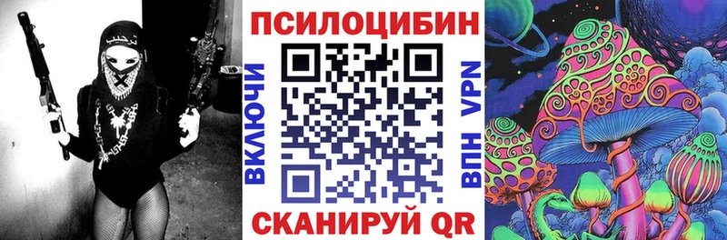 наркотики  Нестеров  Псилоцибиновые грибы Cubensis 